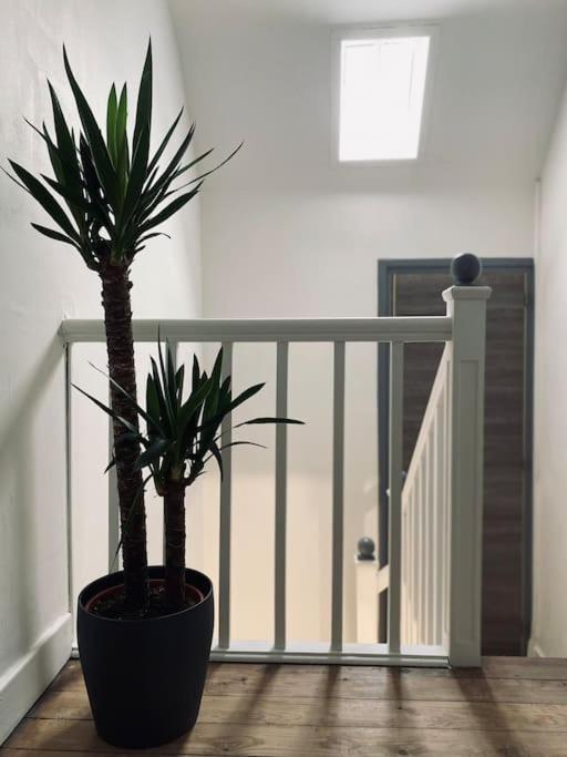 Apartment Duplex La Cambu'z